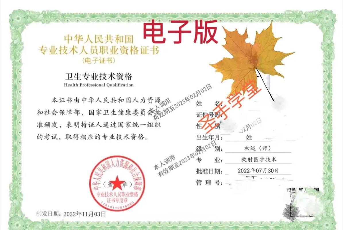 卫生职称体系下的放射医学技术、康复治疗技术与放射卫生技术服务 专业定位与全国统考探析